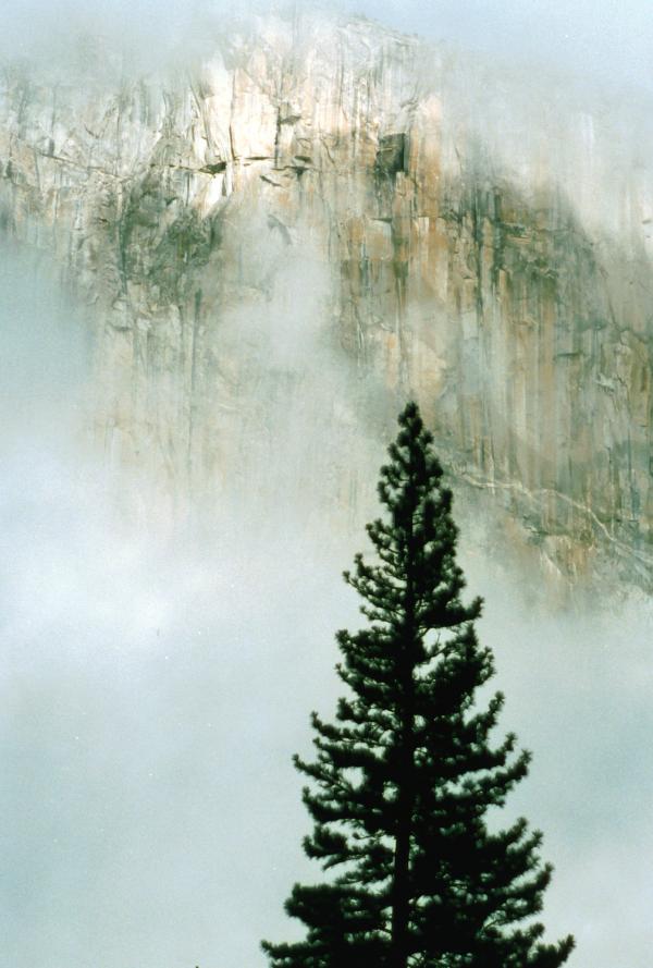 Yosemite in fog.JPG